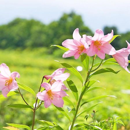 Pension Risuno Koya Hakuba Bagian luar foto
