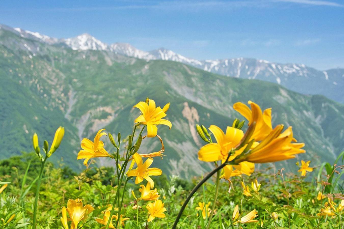 Pension Risuno Koya Hakuba Bagian luar foto
