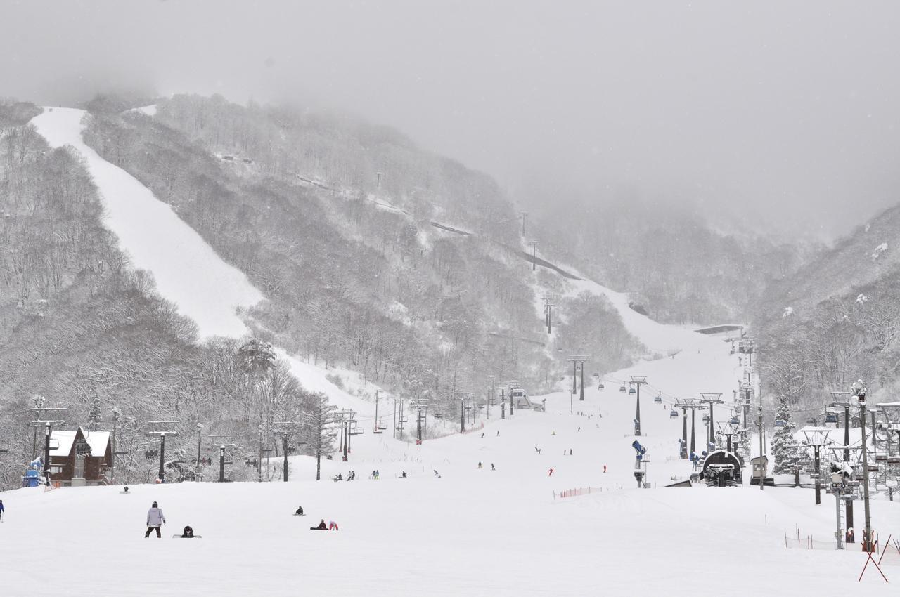 Pension Risuno Koya Hakuba Bagian luar foto